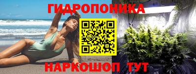 мяу мяу мука Шелехов
