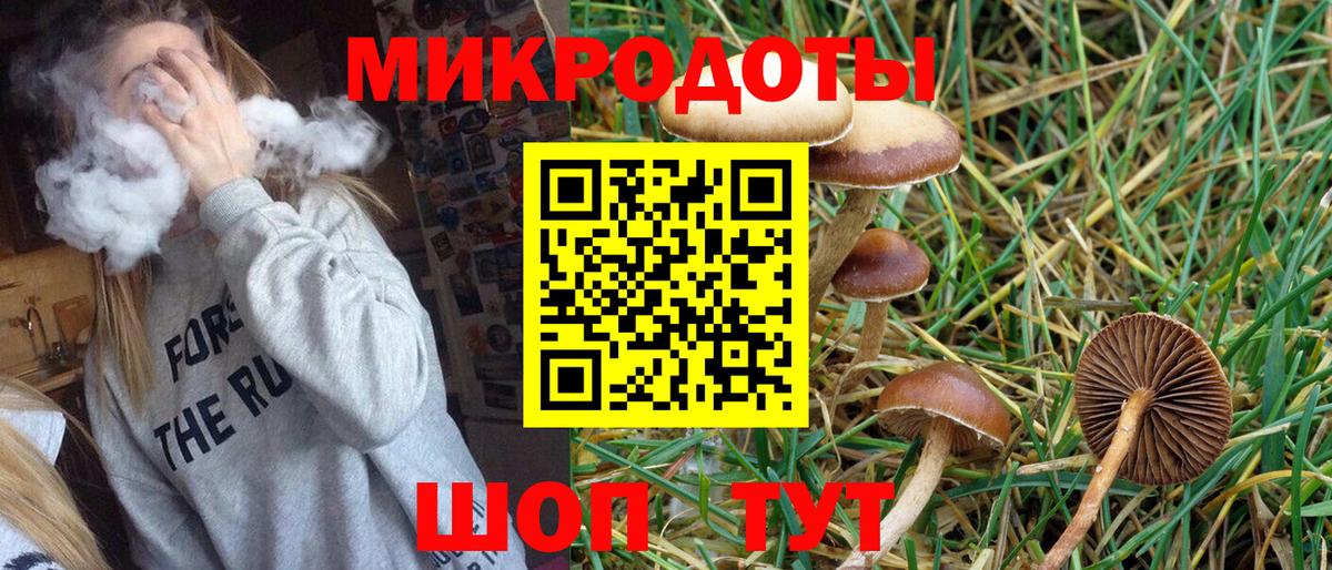Галлюциногенные грибы Magic Shrooms  Псилоцибиновые грибы Magic Shrooms  Вход с VPN  Котлас 